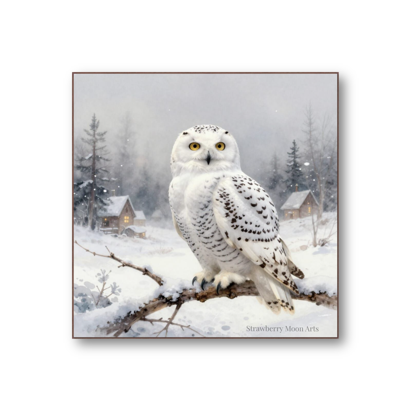 Snowy Owl